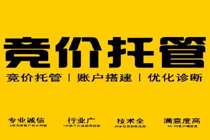 百度推广收费策略：案例分析及优化建议